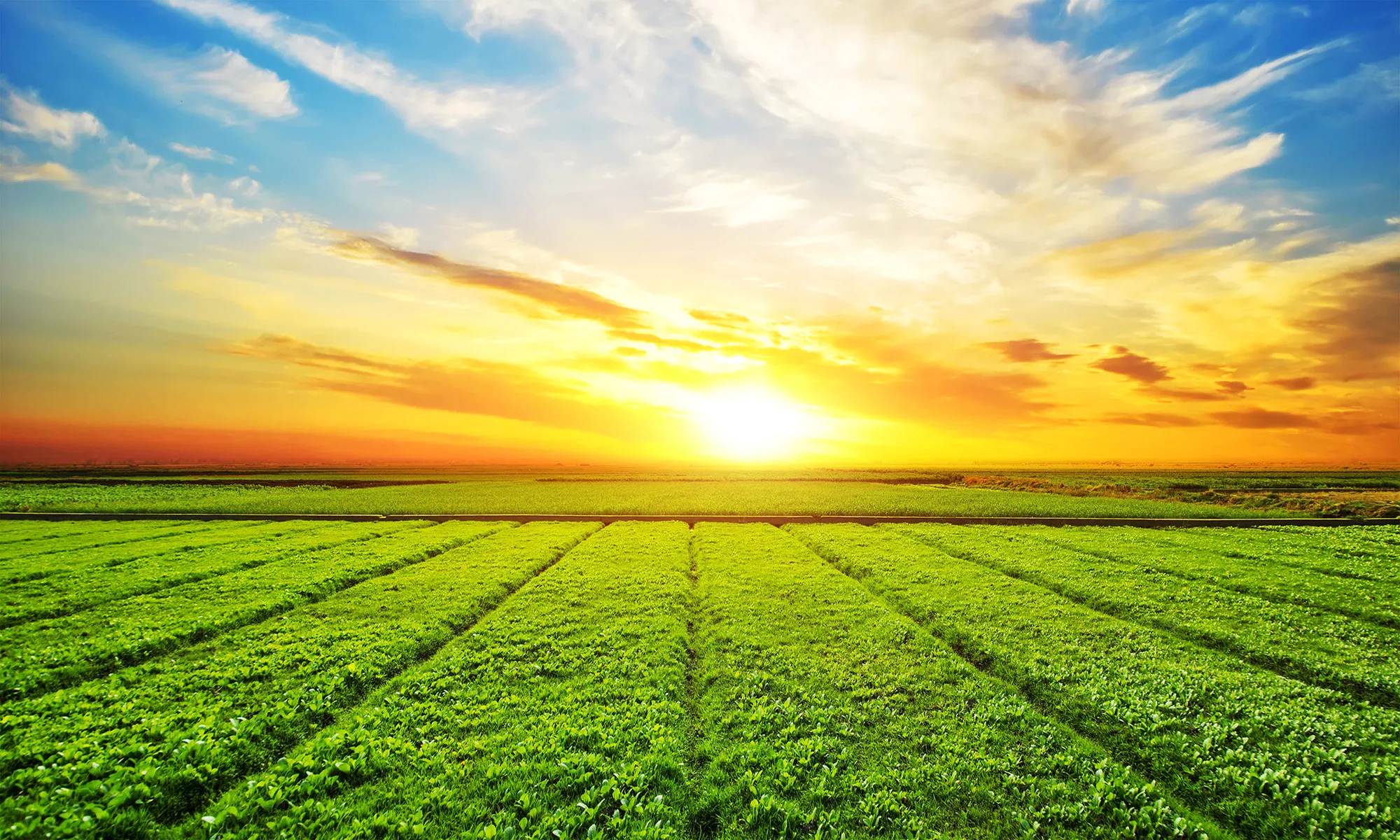 Centro de Capacitación y Desarrollo Agropecuario