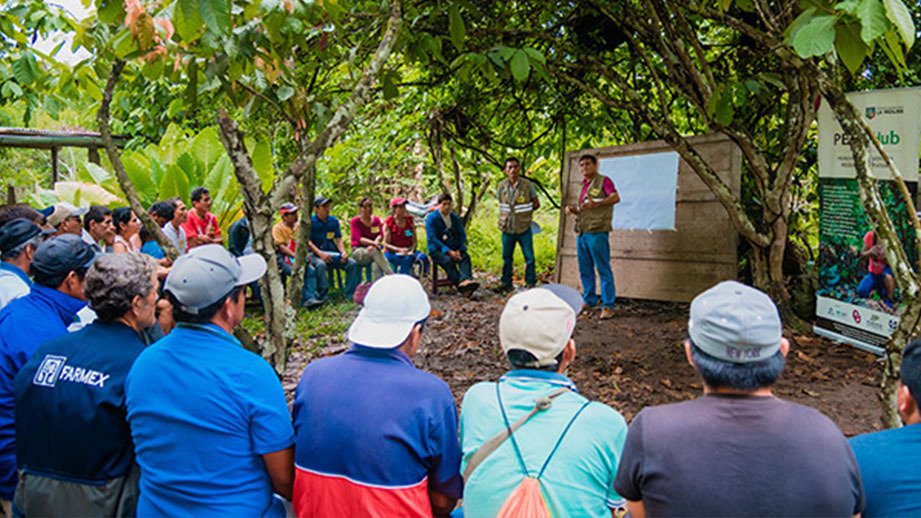 ESCUELA DE CAMPO PARA AGRICULTORES (ECAS)