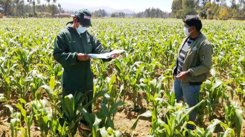 EXTENSIÓN AGROPECUARIA PARA LA INNOVACIÓN DE PRODUCTOS AGRÍCOLAS Y GANADEROS