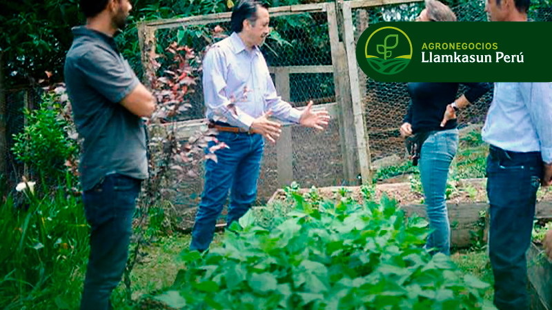 ASISTENTE TÉCNICO  EN PROYECTOS PRODUCTIVOS