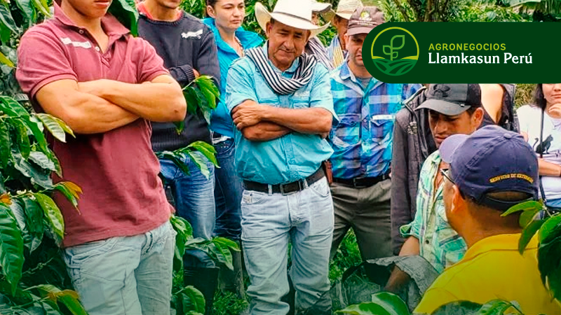 PLANIFICACIÓN ESTRATÉGICA PARTICIPATIVA DEL EXTENSIONISTA RURAL: (HERRAMIENTAS Y METODOLOGÍAS)