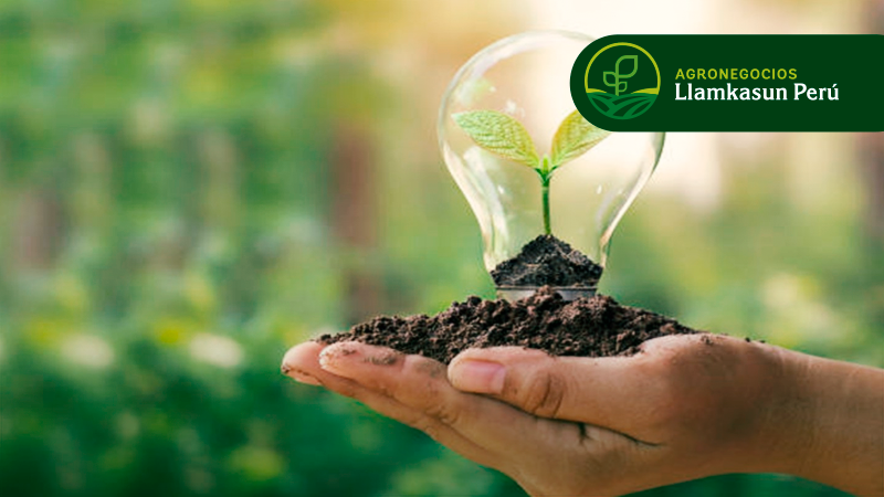 EVALUACIÓN DE IMPACTO AMBIENTAL