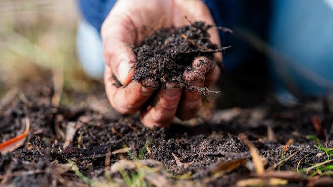  PRODUCCIÓN Y USO DE BIOFERTILIZANTES LÍQUIDOS Y SÓLIDOS