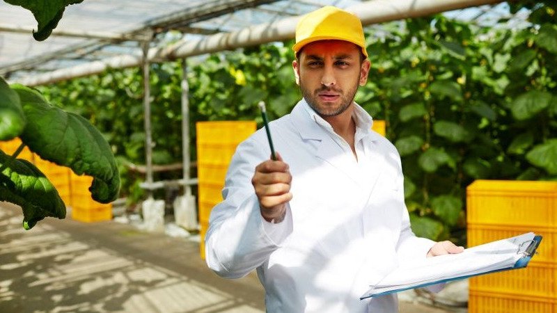 IMPLEMENTACIÓN DE BUENAS PRÁCTICAS AGRÍCOLAS EN CULTIVOS DE EXPORTACIÓN